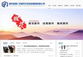 白云区城市开发投资集团有限公司